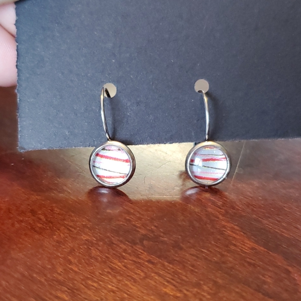 French leverback stainless steel earrings